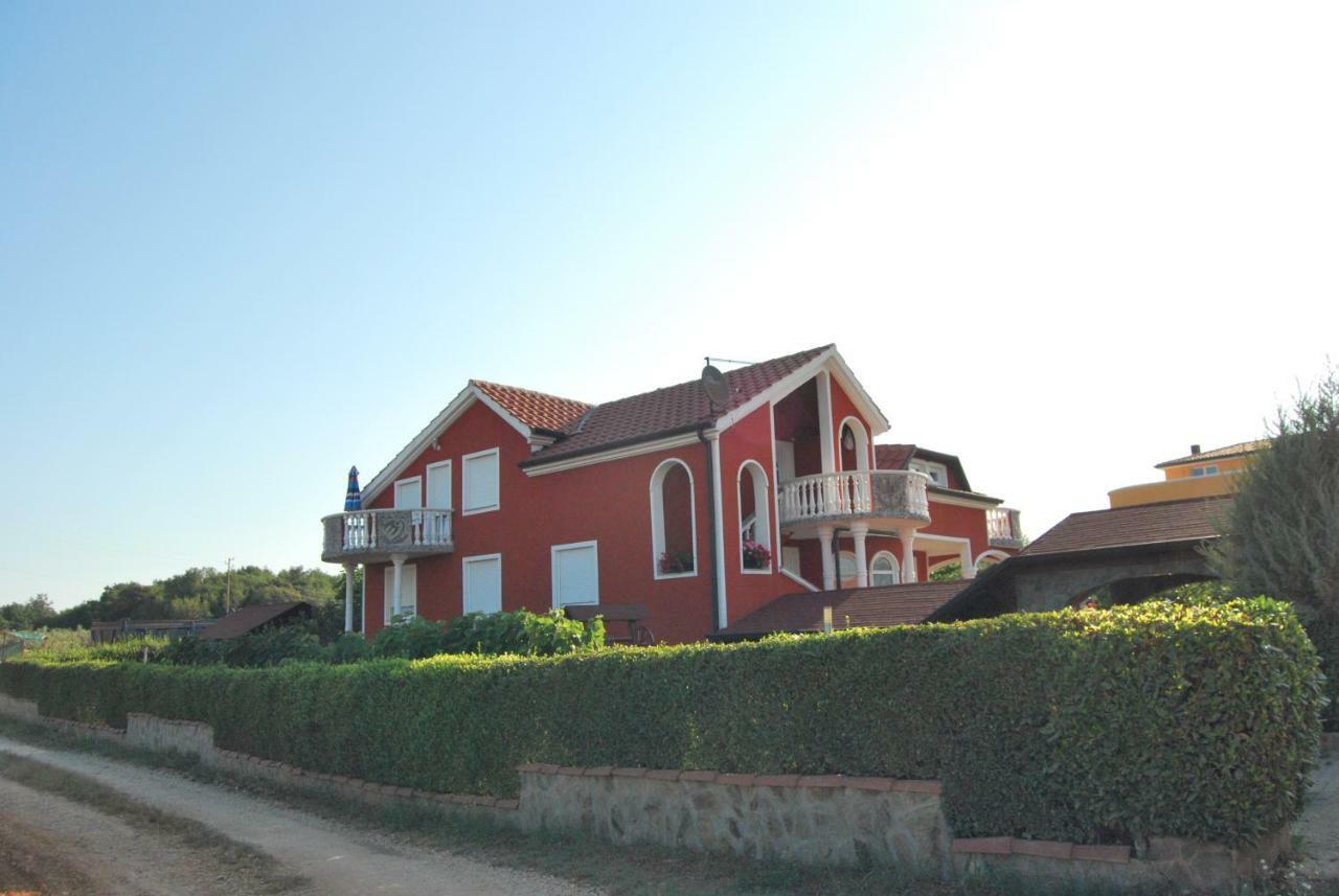 Apartma Jelka Novigrad  Exterior photo