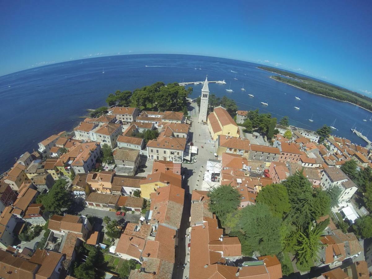 Apartma Jelka Novigrad  Exterior photo