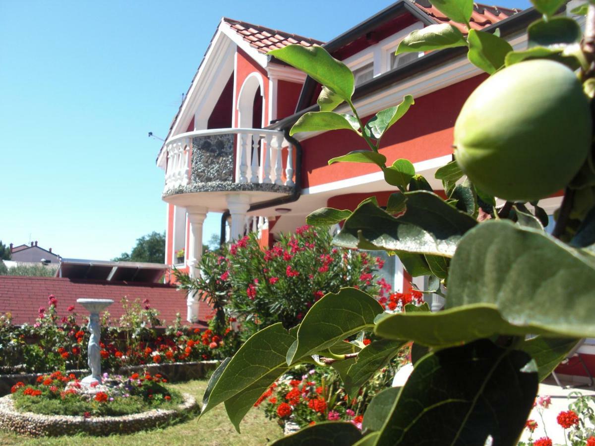Apartma Jelka Novigrad  Exterior photo