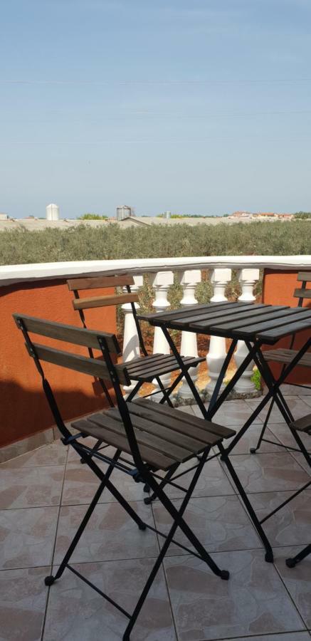 Apartma Jelka Novigrad  Exterior photo