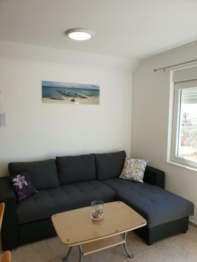 Apartma Jelka Novigrad  Exterior photo